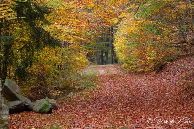 Beautiful autumn colors on the Geolehrpfad trail. / Herrliche Herbstfarben auf dem Geolehrpfad. Tännesberg, Oberpfalz, Bayern.