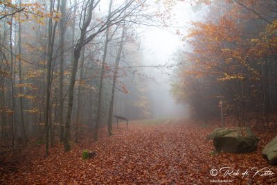 A foggy geological trail. / Ein nebliger Geolehrpfad. Tännesberg, Oberpfalz, Bayern.