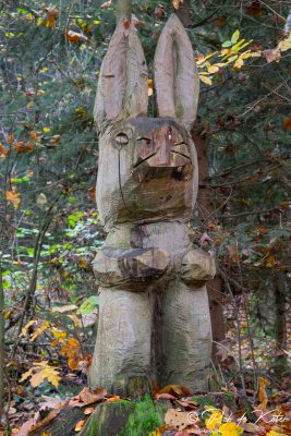 A carved tree trunk on the geological trail. / Ein geschnitzter Baumstamm auf dem Geolehrpfad. Tännesberg, Oberpfalz, Bayern.
