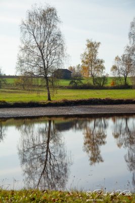 Reflection in the Bursweiher. / Reflexion im Bursweiher. Tännesberg, Oberpfalz, Bayern.