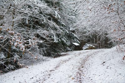 The Geolehrpfad trail in snow. / Der Geolehrpfad im Schnee. Tännesberg, Oberpfalz, Bayern.