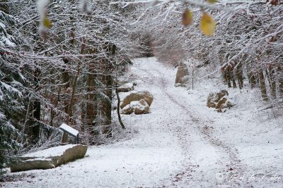 The Geolehrpfad trail in snow. / Der Geolehrpfad im Schnee. Tännesberg, Oberpfalz, Bayern.