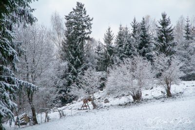Snow on the goat pasture at the Geolehrpfad. Schnee auf der Ziegenweide am Geolehrpfad. Tännesberg, Oberpfalz, Bayern.