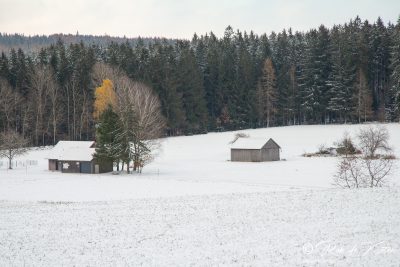 The frosty little building of Tännesberg's drinking water supply wit the last leaves hanging. / Das frostige kleine Gebäude der Trinkwasserversorgung von Tännesberg mit den letzten hängenden Blättern. Oberpfalz, Bayern.