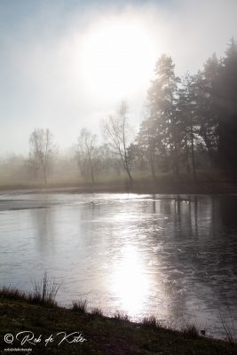 A frozen Bursweiher. / Ein gefrorener Bursweiher. Tännesberg, Oberpfalz, bayern.