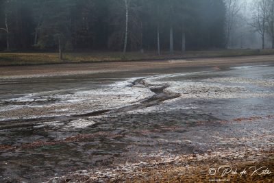 The empty, slightly frozen bed of the Bursweiher. / Das leere, leicht gefrorene Bett des Bursweihers. Tännesberg, Oberpflaz, Bayern.