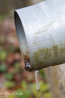 A frozen raindrop at the Hager Hutte. / Ein gefrorener Regentropfen an der Hager Hutte. Geolehrpfad, Tännesberg, Oberpfalz, Bayern.