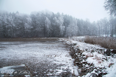 An empty Bursweiher surrounded by frozen trees. / Ein leerer Bursweiher umgeben von gefrorenen Bäumen. Tännesberg, Oberpfalz, Bayern.