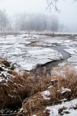 The melt water makes its way through the frozen bed of the Bursweiher. / Auftauendes Wasser bahnt sich seinen Weg durch das gefrorene Bett des Bursweihers. Tännesberg, Oberpfalz, Bayern.