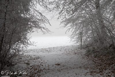 A very foggy and frozen Geolehrpfad / Ein sehr nebliger und gefrorener Geolehrpfad, Tännesberg, Oberpfalz, Bayern.