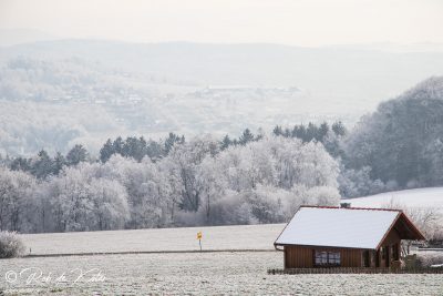 The foggy view near Odmiesbach / Die neblige Aussicht bei Odmiesbach, Oberpfalz, Bayern