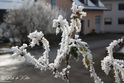 Frost. Tännesberg, Oberpfalz, Bayern.