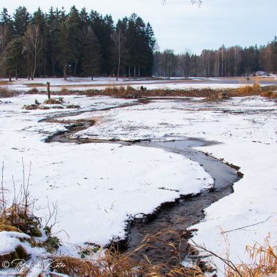 The melt water makes its way through the frozen bed of the Bursweiher. / Auftauendes Wasser bahnt sich seinen Weg durch das gefrorene Bett des Bursweihers. Tännesberg, Opberpfalz, Bayern